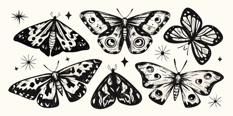 Detailed black and white illustration featuring various types of moths and butterflies © Roni
