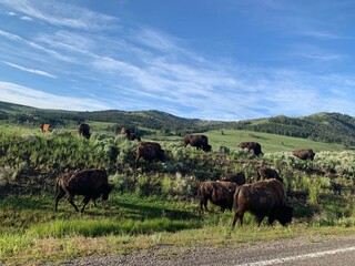 City Waterfront at Sunset with Colorful Evening Sky