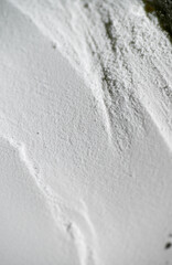 Textured Background with Natural Organic Shapes 