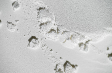Textured Background with Natural Organic Shapes 