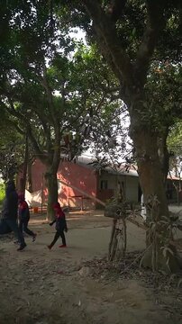 Video sequence 01 143 mp4 file