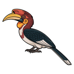 Fototapeta premium hornbill