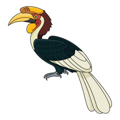 Fototapeta premium hornbill
