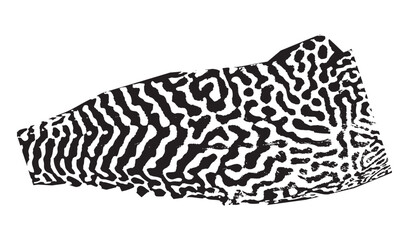 Abstract Animal Skin Texture Vector Illustration