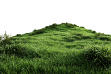 Lush green grassy hill with scattered bushes against black background nature landscape, Png, Isolated on Transparent Background, Cut Out