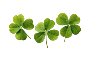 Three vibrant green clover leaves with detailed veins on a black background shamrock leaf, Png, Isolated on Transparent Background, Cut Out