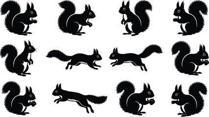 Squirrel silhouette icon set showing various poses and actions including sitting, running, and holding nuts for wildlife and nature themes