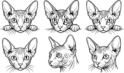 Sphynx cat illustration set in black and white featuring expressive poses, detailed line art, and breed-specific artistic character designs.