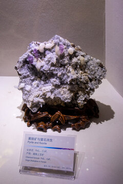 Specimen of pyrite and fluorite in paragenesis (co-occurrence) at the geological museum