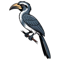 hornbill