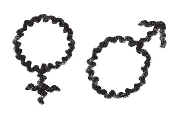 Hand drawn female and male gender identity sign Symbol used to represent sex and gender Single element for print, web, design, decor