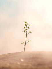 Obraz premium A surreal, pastel haze envelops a delicate sapling, its nascent form a hopeful sigh against a diffused, dreamlike backdrop, pastel, nature
