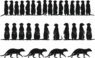 Meerkat silhouette set, African wildlife standing and walking poses, cute animal collection, cad drawing flat vector illustration