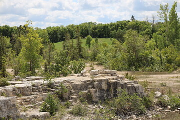 rich green boreal forest rises above open limestone face of historic quarry in summer sunshine...