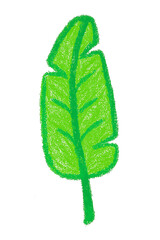 Handdrawn Green Leaf Illustration &ndash; Single Botanical Foliage, Organic Nature Elements Collection in Crayon, Sketch, and Minimalist Style for Ecofriendly