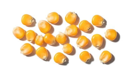 Scattered popcorn kernels raw corn seeds isolated on white background ingredient for healthy snack