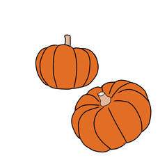 pumpkin isolated on white background