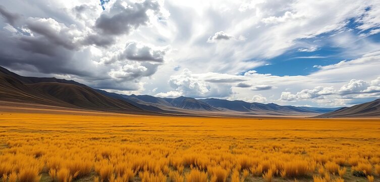 Vast yellow grass plain under dramatic cloudy sky, desolate Tibetan hills,  dry hills,  overcast