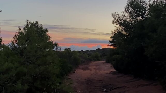 A dusty road fades into the twilight as soft clouds linger over Sagres brushland Through a frame of pine trees, the Algarve horizon glows with the last warmth of daylight