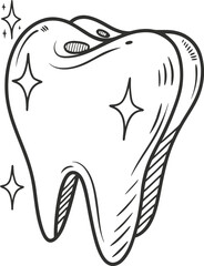 Cartoon Hand-Drawn Shiny White Tooth Outline Illustration