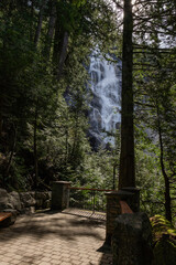 Intense green forest trail with natural lighting and gravel floor Stawamus Chief Provincial Park Squamish, British Columbia, Canada