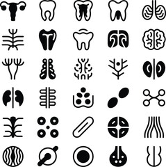 Set of human anatomy icons, organs, and cells, medical biology