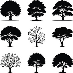 Variety of natural tree silhouettes, black vector illustration
