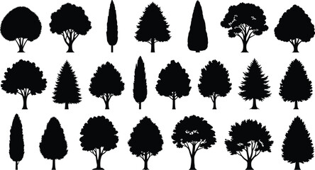 Set of black tree silhouettes, vector nature forest collection, isolated plants on white background, various deciduous and coniferous trees for landscape design © MstBeauti