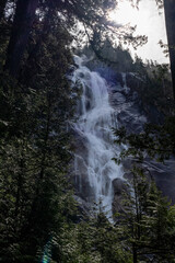 Shannon Falls and green forest with natural lighting in the Stawamus Provincial park, Squamish, British Columbia, Canada