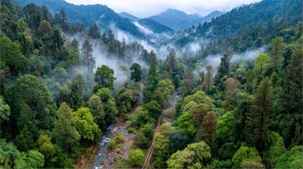 Lush Green Forest with Misty Mountains and Serene River Landscape