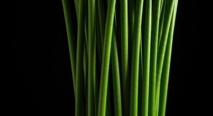 Fototapeta premium Close-up view emphasizing the vertical lines and green textures of a freshly cut, simple floral arrangement featuring visible, long stems ,texture ,white background ,minimal