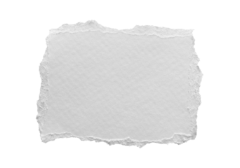 ripped element set of torn paper edges isolated with clipping path on background. torn paper texture, ripped of paper designs and jagged paper edges create a raw, artistic look.