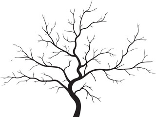 Fototapeta premium Black silhouette of a bare tree with spreading branches
