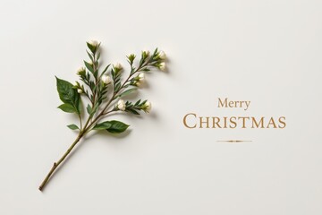 This elegant, simple design highlights a relaxing winter foliage branch against a pale background, accompanied by a calming message: "Merry Christmas."