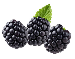 three plump, juicy, and ripe blackberries with a fresh green leaf, isolated cleanly against a dark background for culinary projects.