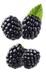 two luscious, ripe blackberries with a vibrant green leaf, captured in exquisite detail, isolated on a clean transparent background.