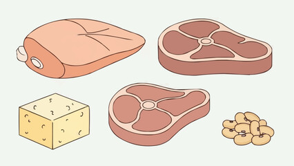 Hand drawn collection of various protein food sources illustration.