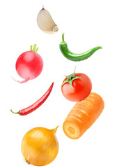 photograph displaying a colorful assortment of fresh, vibrant vegetables including an onion, carrot, tomato, garlic, radish, and chili peppers on a dark background.