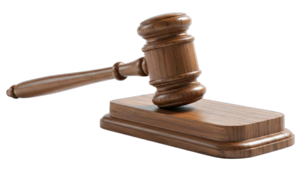 Wooden Gavel Resting on Sound Block, Isolated