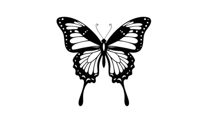 Butterfly Silhouette Design – Elegant Insect Line Art for Nature and Tattoo Concepts