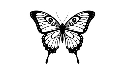 Butterfly Silhouette Design – Elegant Insect Line Art for Nature and Tattoo Concepts