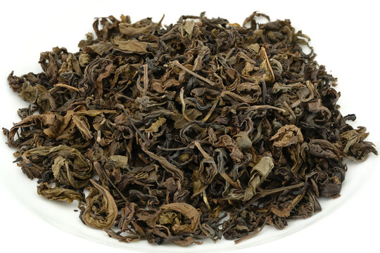 Pile of dried ferment tea leaves or miang tea isolated on white background.