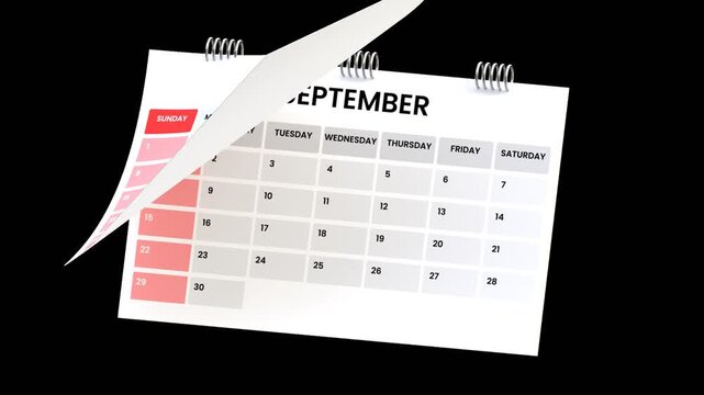 3D Calendar Flip | Alpha Channel