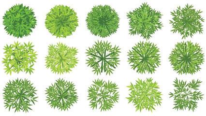 Top view green plants and shrubs for landscape architecture and garden planning resources