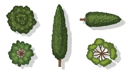 Diverse flat vector tree and bush illustrations for landscape planning and architectural top view