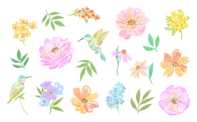 Pastel Hand drawn Peony, wildflower, and hummingbird PNG Clipart set on a transparent background. Spring floral Illustrations for pattern, greeting card, stationary, home decor and social media. © Sawango