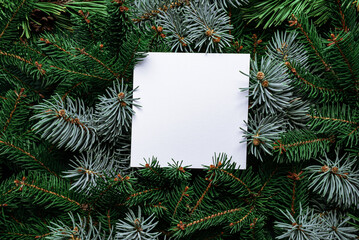 White paper on background with green fir branches for Merry Christmas and New Year. Xmas and Winter holidays. Christmas card, close up, top view