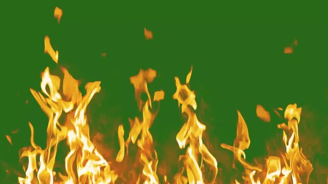 Realistic fire flames green screen	

