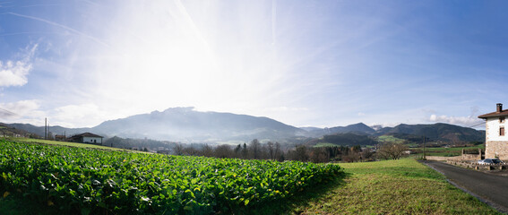 Fototapety na wymiar - Fototapeta24.pl