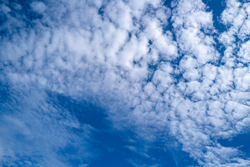 Calm bright sky . Daylight cloudscape. Clear weather skyline panorama. Clouds drifting. Airy sunny scene. Soft natural sky background. Blue sky with white clouds. Pure sky and soft clouds.